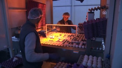 yumurta - Gaziantep yumurtası Ortadoğu sofralarında - GAZİANTEP  Videosu