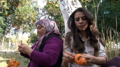 kadin girisimci -  Antalya’da portakal kabuklarına sanatsal dokunuş  Videosu