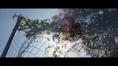 fragman - Sinema - Martıların Efendisi - İSTANBUL  Videosu