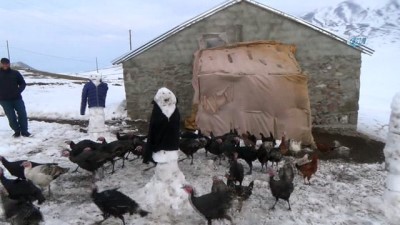 kardan adam -  Hindileri tilkilerden korumak için kardan adamlar yaptı  Videosu