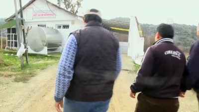 sut uretimi - Süt üreticileri 'soğuk zincir' sayesinde gelirlerini artırdı - BİLECİK  Videosu