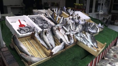 gorece - Balıkçılar bu sezon umduğunu bulamadı - ZONGULDAK Videosu
