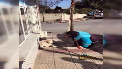 temizlik gorevlisi -  Sokak köpeğine arabeskli serenat  Videosu
