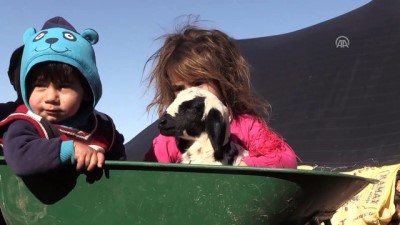 erimli - Göçer Ali'nin hayvancılıkla geçen ömrü - ŞANLIURFA  Videosu