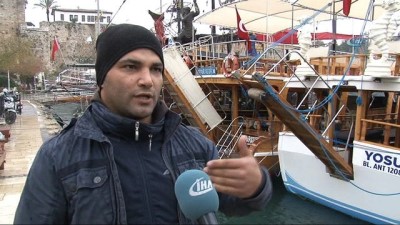 korfez -  Yat limanı mesken tutan Akdeniz Foku, balıkçıların maskotu oldu  Videosu