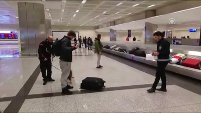 narkotik kopek - Hollanda'dan gelen bazı yolcuların valizlerine köpekli arama - İSTANBUL  Videosu