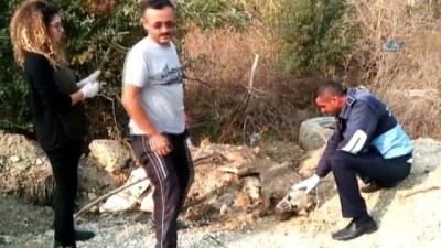 sokak kopegi -  Su kuyusuna düşen köpeği işçiler kurtardı  Videosu