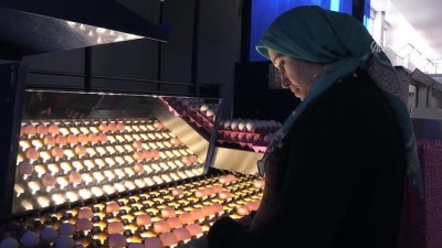 ihracat rakamlari - Yumurtacılar 2018'den umutlu - AFYONKARAHİSAR  Videosu