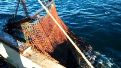 salyangoz -  Genel Müdür Atalay, denizde salyangoz avcılığını inceledi  Videosu