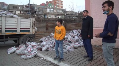 komur yardimi -  Şırnak’ta 10 bin aile kömür yardımı yapılıyor  Videosu