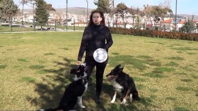 yarisma programi -  Bir köpek aldı hayatı değişti  Videosu