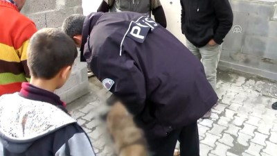 para cezasi - Dağ keçisi avlayanlara 28 bin 727 lira ceza - ERZİNCAN Videosu