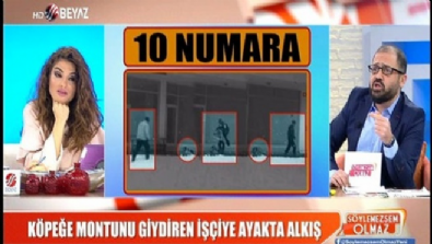 Köpeğe montunu giydiren işçiye ''Kul Ahmet'' klibi 