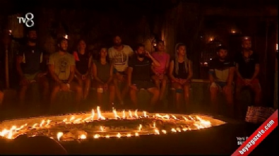 Survivor'a yeni bir isim katıldı 