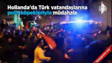 fatma betul sayan kaya - Hollanda'da Türk vatandaşlarına polis köpekleriyle müdahale  Videosu