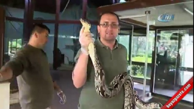 hayvanat bahcesi - Dev yılana nefes kesen uçuk operasyonu  Videosu