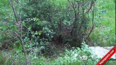 istanbul kartal - Kartal'da ormanlık alanda 10 kilo A-4 patlayıcı bulundu  Videosu
