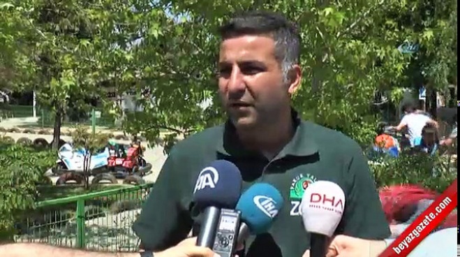 Türkiye’nin tek yavru cüce su aygırı Mela ilk kez ziyaretçileriyle buluştu