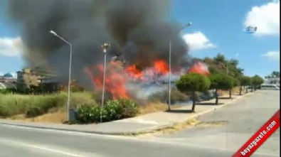Antalya’da ormanlık arazi alev alev yandı Videosu