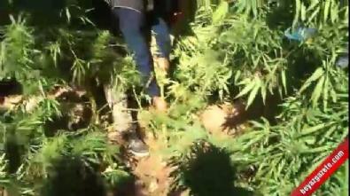 Hevsel Bahçeleri'nde uyuşturucu operasyonu 