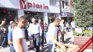 Şehri arılar bastı 