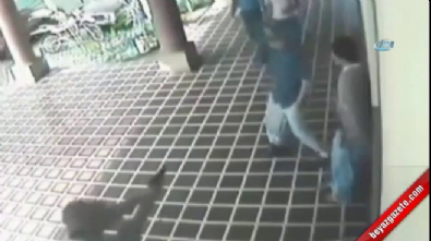 silahli saldiri - Arkadaşıyla konuşan adam böyle vuruldu  Videosu