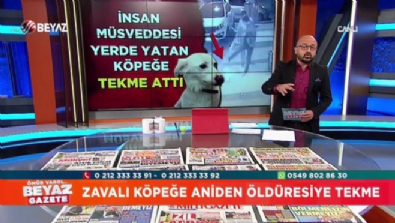 beyaz gazete - Zavallı köpeği ölümüne tekmeleyen cani kim?  Videosu