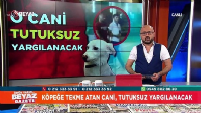 beyaz gazete - Köpeğe tekme atan cani, tutuksuz yargılanacak  Videosu