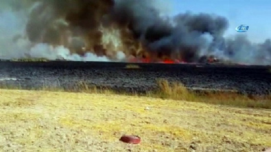 mogan golu - Ankara'da yangın!  Videosu