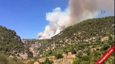 dagpinar - Muğla'da orman yangını Videosu