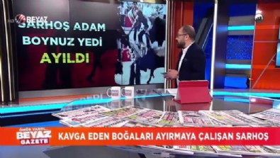 beyaz gazete - Kavga eden boğaları ayırmaya çalışan sarhoş!  Videosu