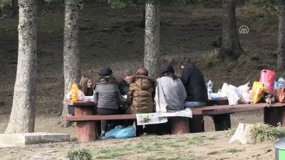 piknik alanlari - Tabiat parklarında yeni yıl yoğunluğu - BOLU  Videosu