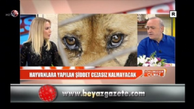 soylemezsem olmaz - Hayvanlara yapılan şiddet cezasız kalmayacak  Videosu