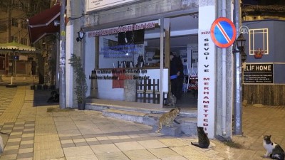 kahvehane - Bu kahvehanenin kapıları önce sokak hayvanlarına açılıyor - KIRKLARELİ  Videosu