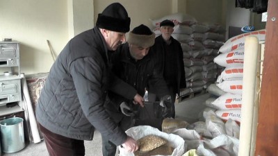  Soğuk havada yemsiz kalan güvercinleri esnaf doyuruyor 