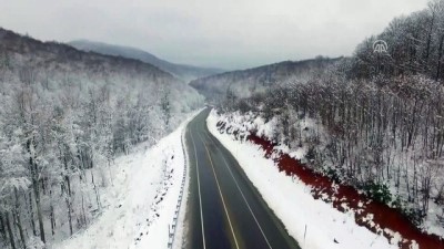 yabanci turist - Longozların her mevsim büyüleyen güzelliği - KIRKLARELİ  Videosu