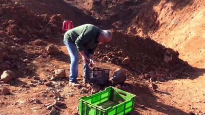 hastalik - 'Kırmızı taş'ın peşinde 35 yıl - BİLECİK  Videosu