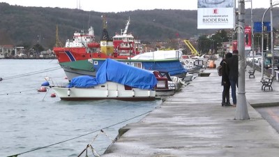 korkuluk - Sarıyer'de sahile korkuluk yapılması için eylem - İSTANBUL  Videosu