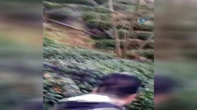 harekete gec -  Köye inen yabanı domuz tüfekle vuruldu  Videosu