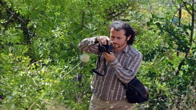 munzur -  ADÜ’lü Akademisyen Tunceli’de yeni bir bitki türü keşfetti  Videosu