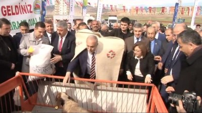 yerel yonetim -  Bakan Fakıbaba, çoban abası giydi, kuzuları besledi  Videosu