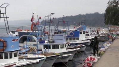 kooperatif - 'Balıkçılar olarak kendi bindiğimiz dalı kesiyoruz' - SİNOP  Videosu