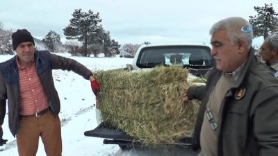 guzergah -  Yaban hayvanları için doğaya yem bırakıldı  Videosu