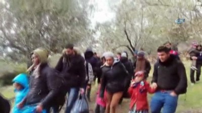 tahkikat -  Çanakkale'de 43 yabancı uyruklu yakalandı Videosu