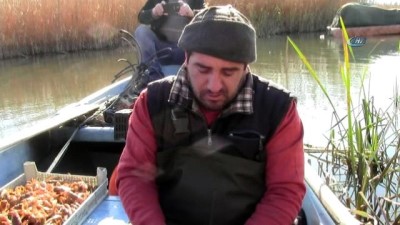 balik turu -  İznik Gölü'nün çekilme sebebi kuraklık Videosu