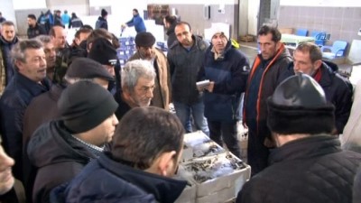 balik fiyatlari -  Samsun’dan Türkiye’nin dört bir yanına balık gönderiliyor  Videosu