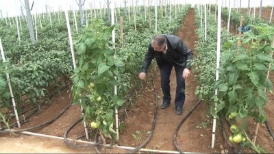 elektrik uretimi -  Çanakkale'de ilk kez jeotermal serada 4 mevsim sebzeler üretiliyor Videosu