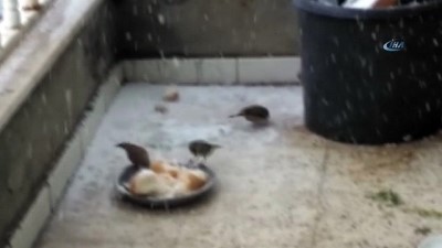 yagisli hava -  Çelikhan'da kar yağışı devam ediyor Videosu