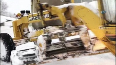 sokak hayvanlari -  Kar yağışı 278 köy yolunu kapattı, Yedisu’da okullar tatil edildi  Videosu