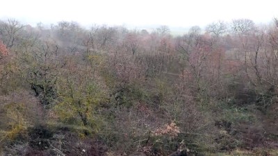 meteoroloji - Yüksek kesimlerde kar yağışı başladı - EDİRNE  Videosu